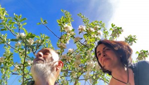 Clavellina d'Aire I Arran d'escenari I CAT Tradicionà rius